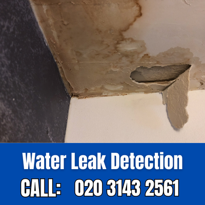 Expert Water Leak Detection Services in Stoneleigh | Stoneleigh Leak Detection